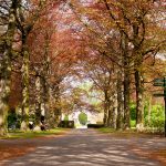 Crematorium Schiedam - Beukenhof begraafplaats