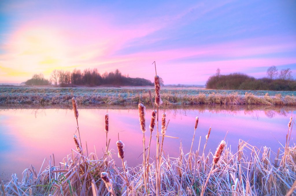 Uitvaartondernemer Capelle aan den IJssel